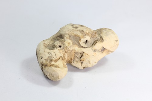 Radice masticare legno - da,